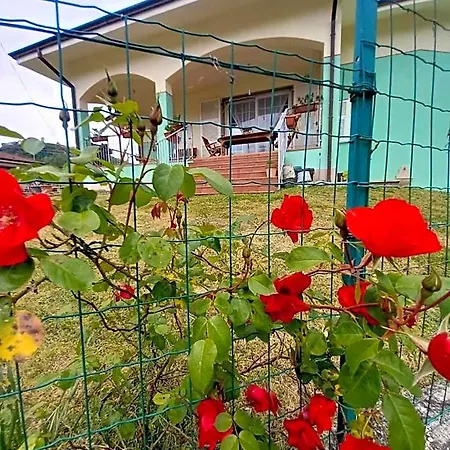 Archi Di Sole